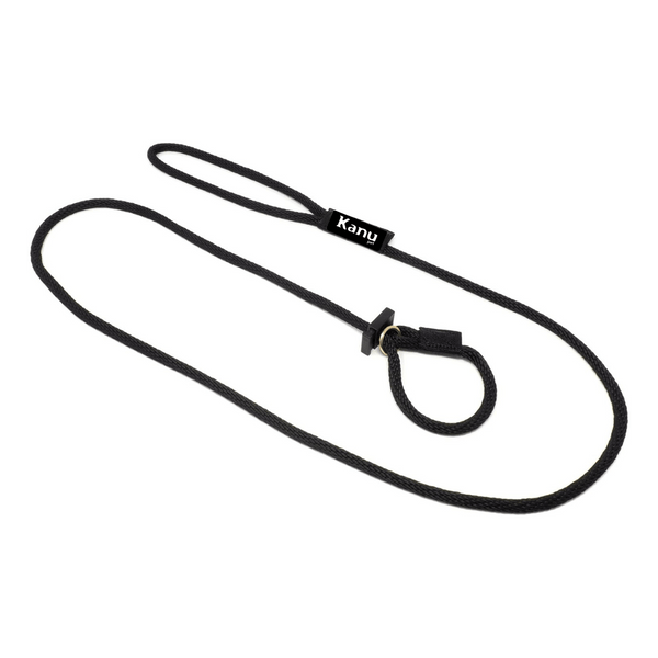 Kanu Pet Black Slip Dog Leash & Collar