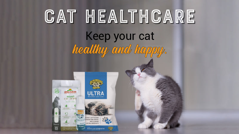 Banner_Cat_Healthcare-01