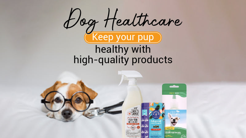 Banner_Dog_Healthcare-02