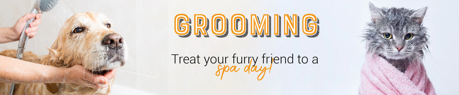 Banner_Grooming-01