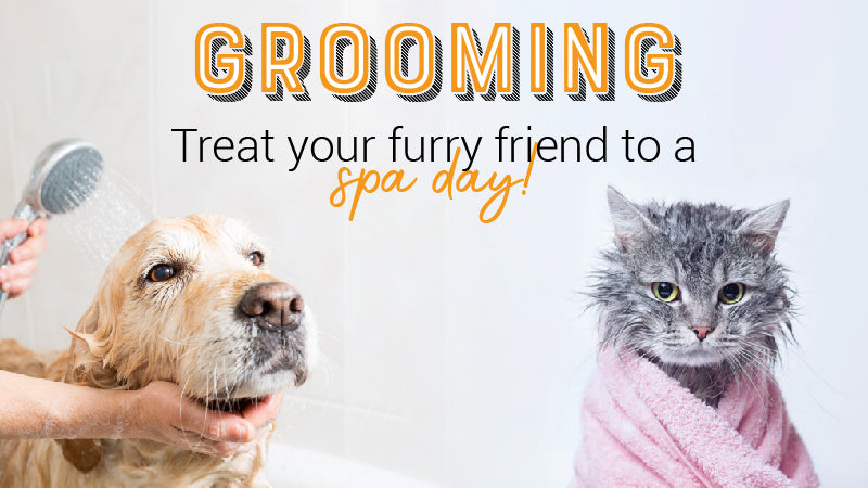 Banner_Grooming-02