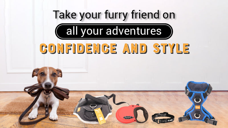 Banner_leash__collar_and_harnesses-01_2