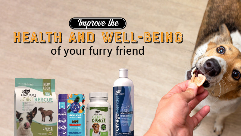 Banner_vitamins_and_supplements-02