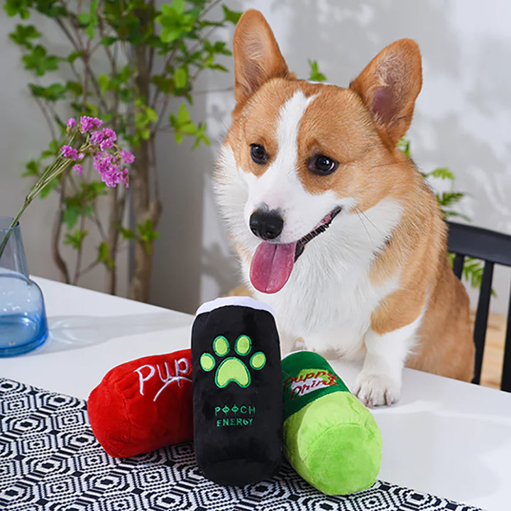 HugSmart Bark Soda - Doggie Dry Dog Toy | Kanu Pet