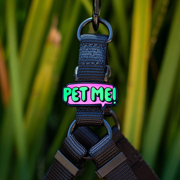 Jiby Dog Crew - Pet Me Dog Jiby