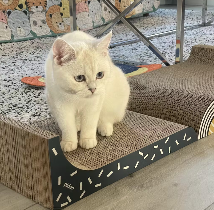 Curatepet  3-in-1 Cat Scratcher | Kanu Pet