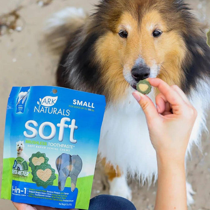  Ark Naturals Soft Brushless Toothpaste Small Dog Treat | Kanu Pet