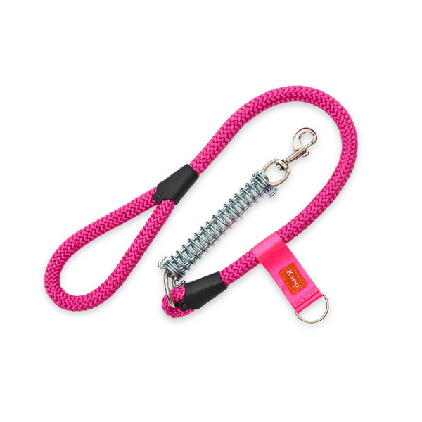 Kanu Pet Fuchsia Spring Dagger Dog Leash