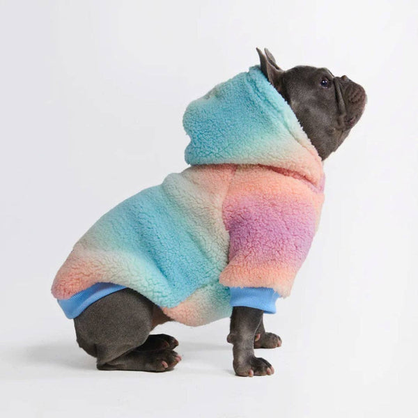 Spark Paws Fluffdreams Blanket Pastel Icing Dog Hoodie | Shop Now
