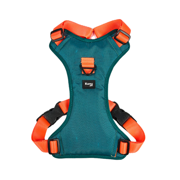 Kanu Pet Green/Orange Dog Harness