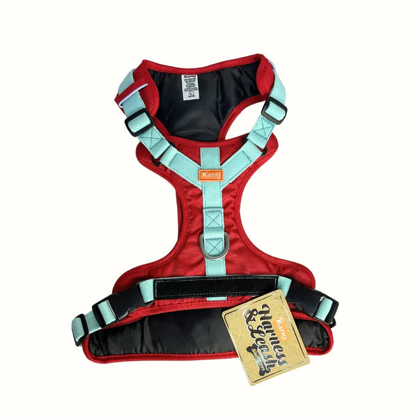 Kanu Pet Mini Walker Harness Red/Mint for Dogs