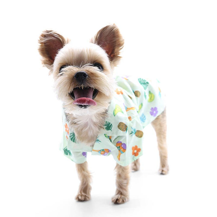 Dogo Pet Vacation Dog Shirt | Kanu Pet