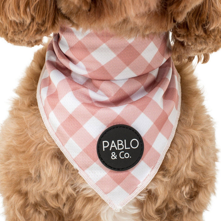 Pablo & Co. Chocolate Gingham Dog Bandana | Kanu Pet