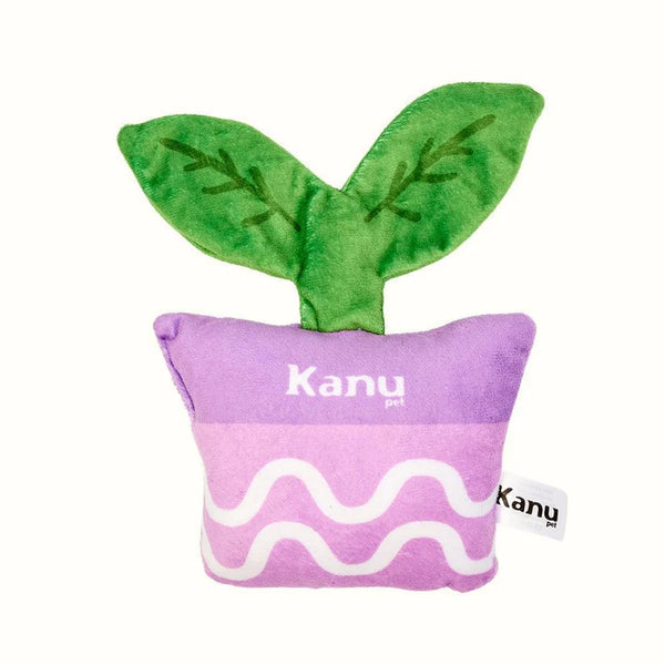 Kanu Pet Leaf Plush Toy for Dogs