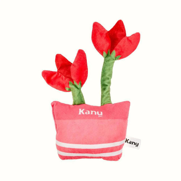 Kanu Pet Tulips Plush Toy for Dogs