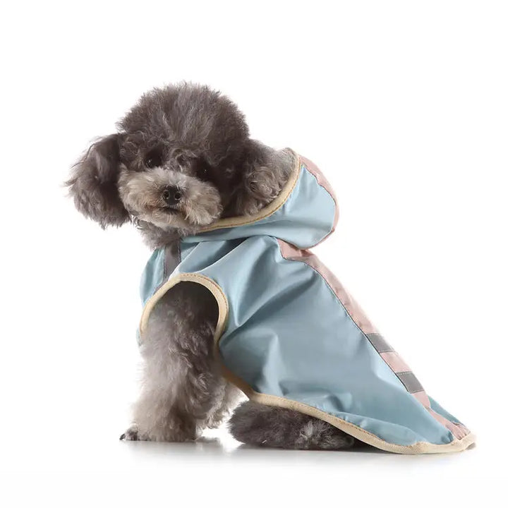 Cheerhunting Ozzie Colorful Dog Raincoat | Kanu Pet