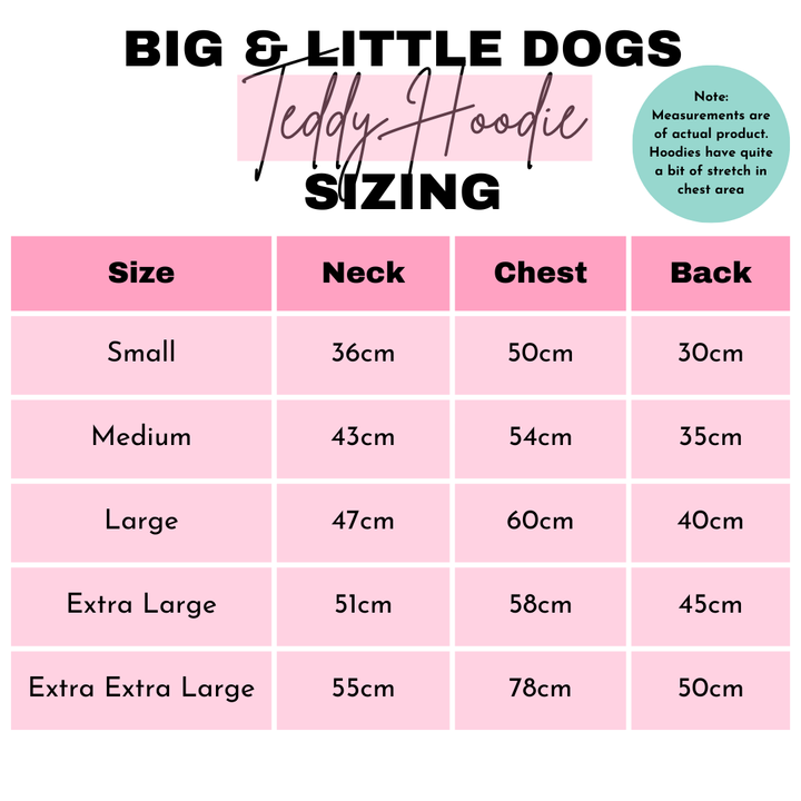 Big & Little Dogs Caramel Teddy Hoddie Dog Jumper | Kanu Pet