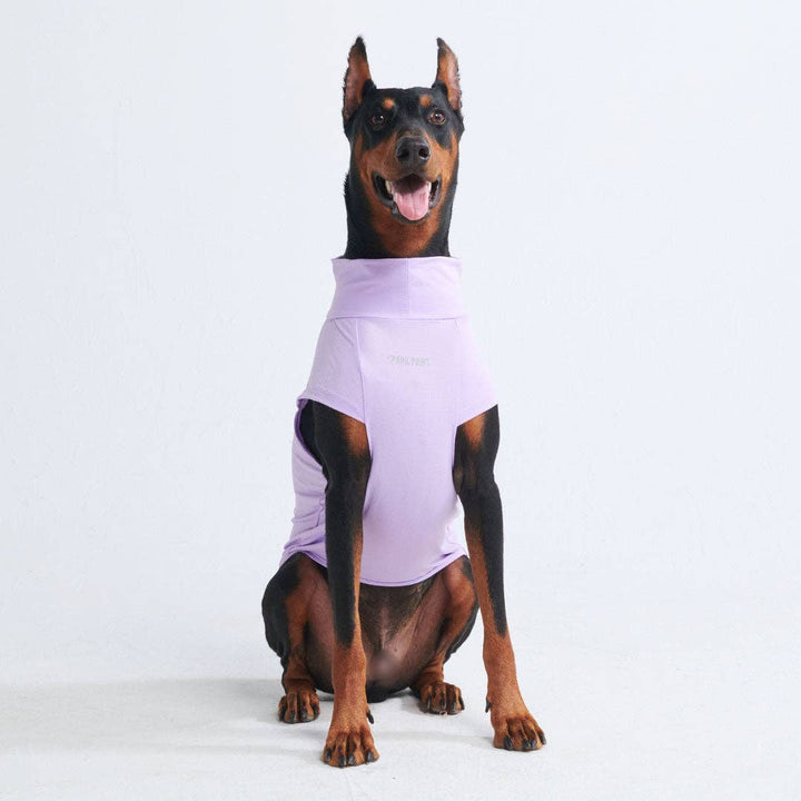 Spark Paws Sunblock Dog Purple T-Shirt | Shop Now
