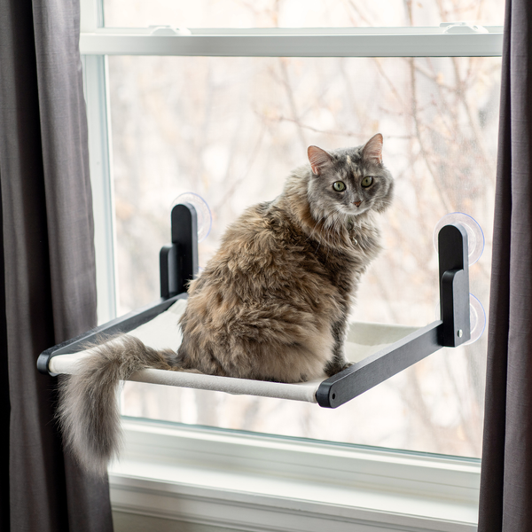 Luli & Cat - Cat Window Perch - White Fabric - Wooden, Folding, Window Hammock