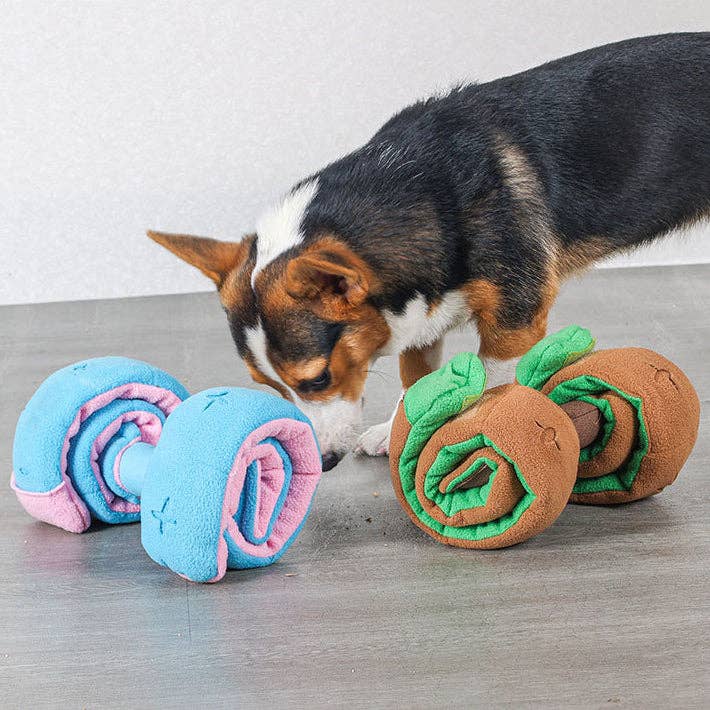 Cheerhunting Petkin Dumbbell Shape Dog Treat Dispenser Toy | Kanu Pet