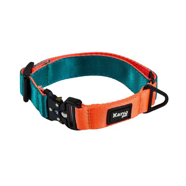 Kanu Pet Green/Orange Collar