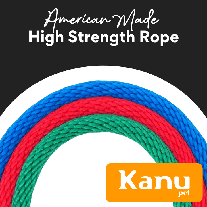 Kanu Pet Purple Slip Dog Leash & Collarr | Kanu Pet