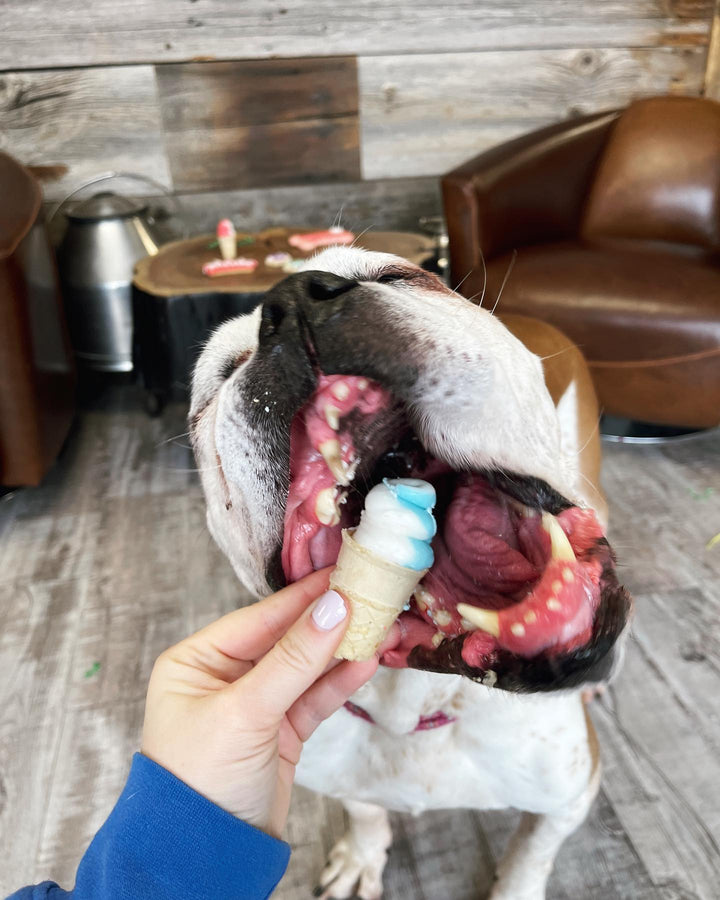  Boscon & Roxys Lick Me Til Ice Cream Dog Cookie | Kanu Pet