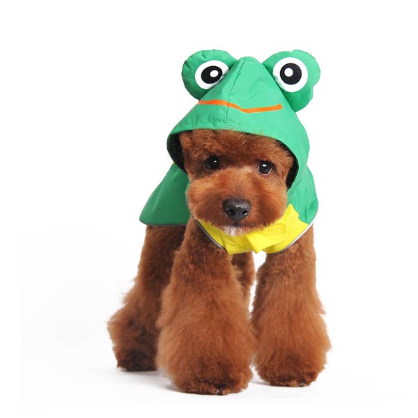 Dogo Pet Frog Dog Raincoat | Shop Online