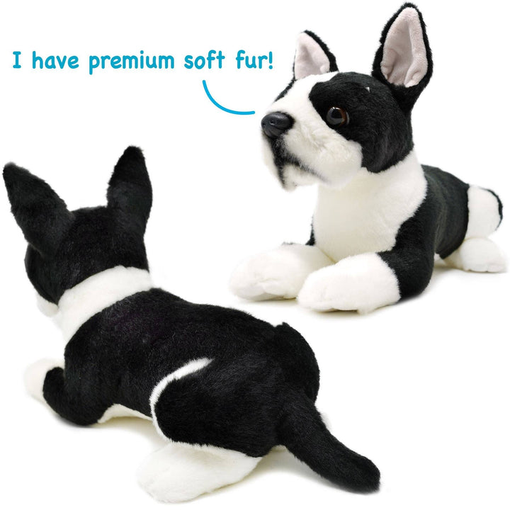 Viahart Toy Co. Baxter The Boston Terrier Plush Dog Toy | Kanu Pet