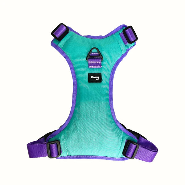 Kanu Pet Harness Mint Green Lilac for Dogs