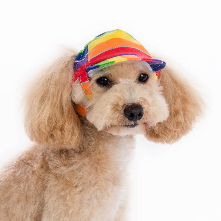 Dogo Pet Rainbow Dog  Hat | Shop Online