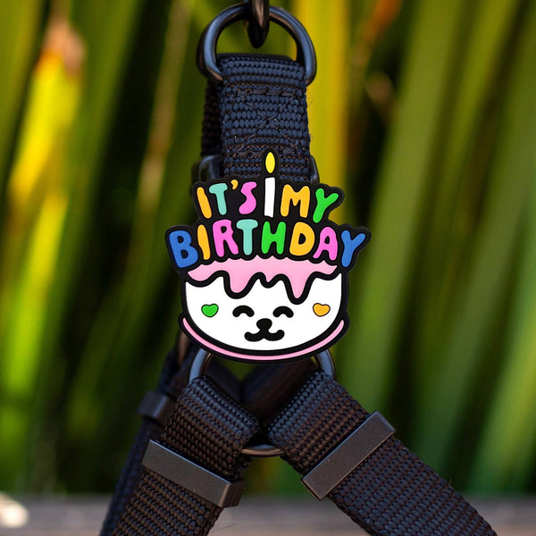 Jiby Dog Crew - Birthday Dog Jiby