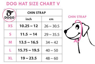 Dogo Pet Rainbow Dog  Hat | Shop Online