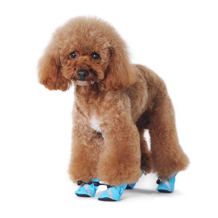 Dogo Pet Slip-ON Paws Purple Dog Shoes | Kanu Pet