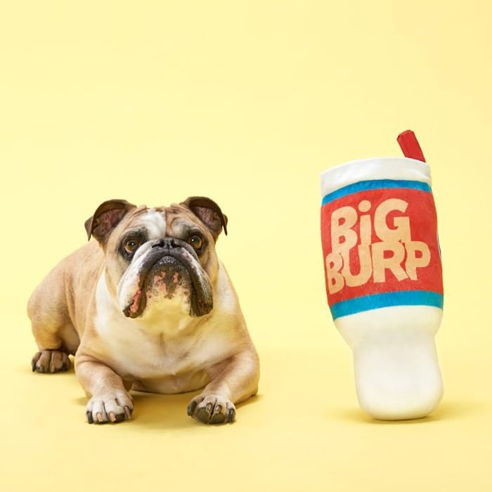 Pet Palette Distribution Bark Big Burp Slurp Plush Dog Toy | Kanu Pet