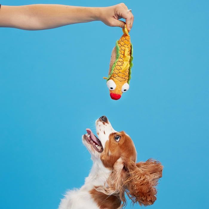 Pet Palette Distribution Bark Ernesto the Fish Taco Dog Toy | Kanu Pet