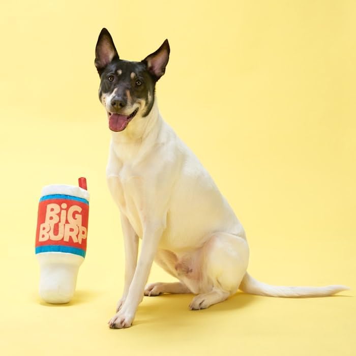 Pet Palette Distribution Bark Big Burp Slurp Plush Dog Toy | Kanu Pet