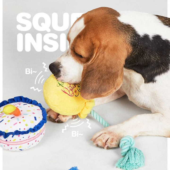 Cheerhunting Petkin Birthday Party Themed Cake-Dog Toy | Kanu Pet