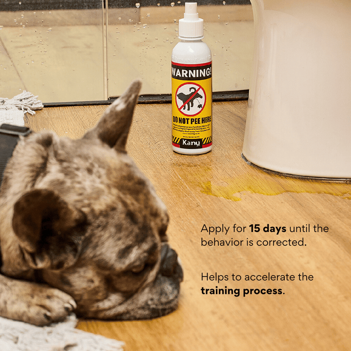 Kanu Pet Do Not Pee Here Pet Spray | Kanu Pet