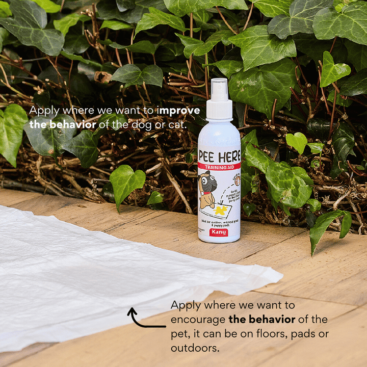 Kanu Pet Pee Here Pet Spray | Kanu Pet