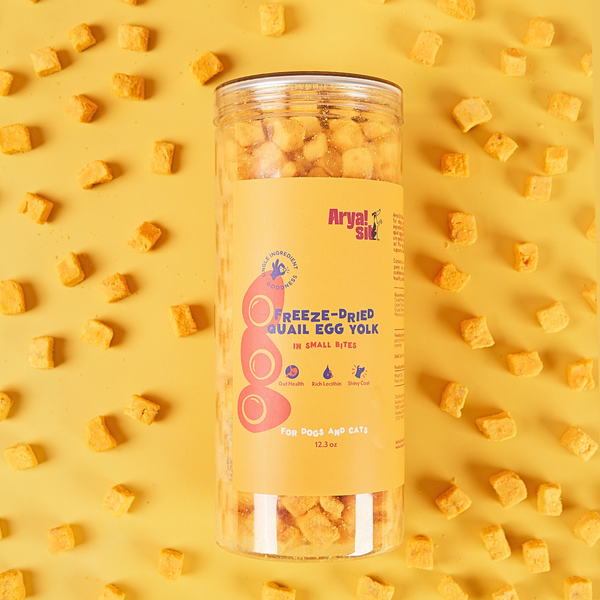 Arya Sit - Freeze-Dried Egg Yolk Bites