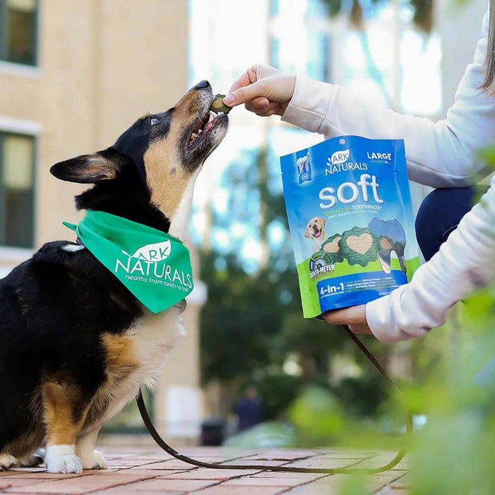 Ark Naturals Soft Brushless Toothpaste Large Dog Treat | Kanu Pet