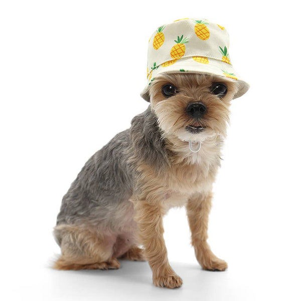 Dogo Pet - Bucket Hat Pineapple