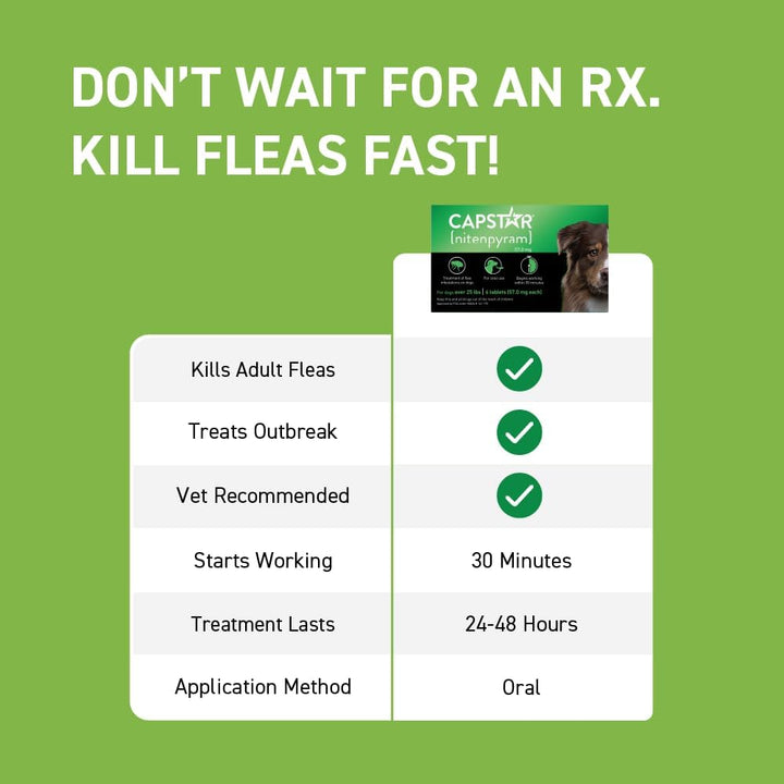 Capstar Flea Treatment for Dogs (25Lb Up) | Kanu Pet