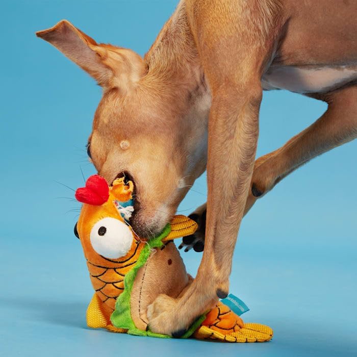 Pet Palette Distribution Bark Ernesto the Fish Taco Dog Toy | Kanu Pet