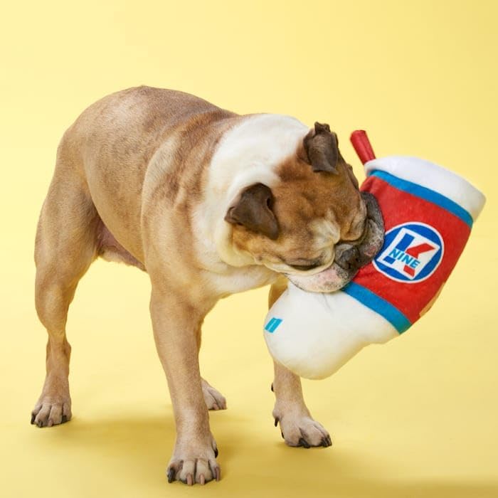 Pet Palette Distribution Bark Big Burp Slurp Plush Dog Toy | Kanu Pet