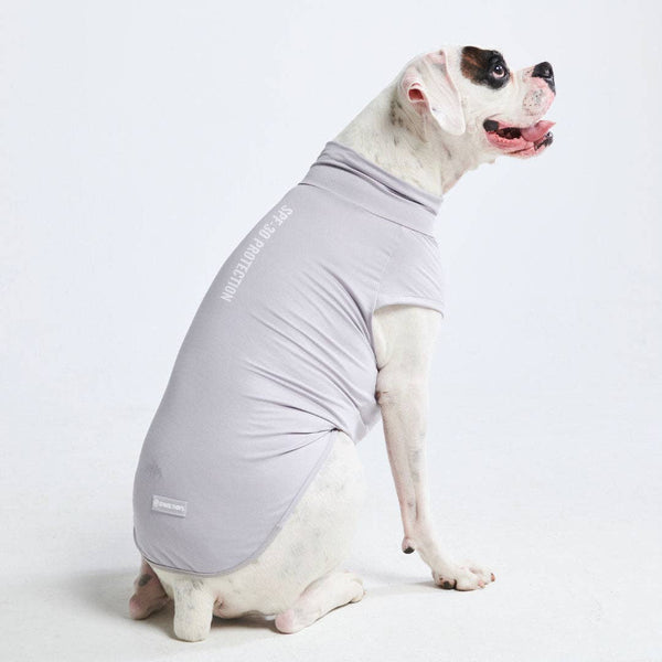 Spark Paws Sunblock Grey Dog T-Shirt  | Shop Now