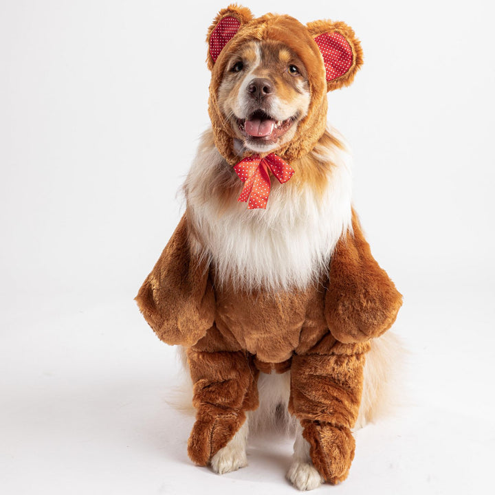 Silver Paw Teddy Bear Dog Costume | Kanu Pets