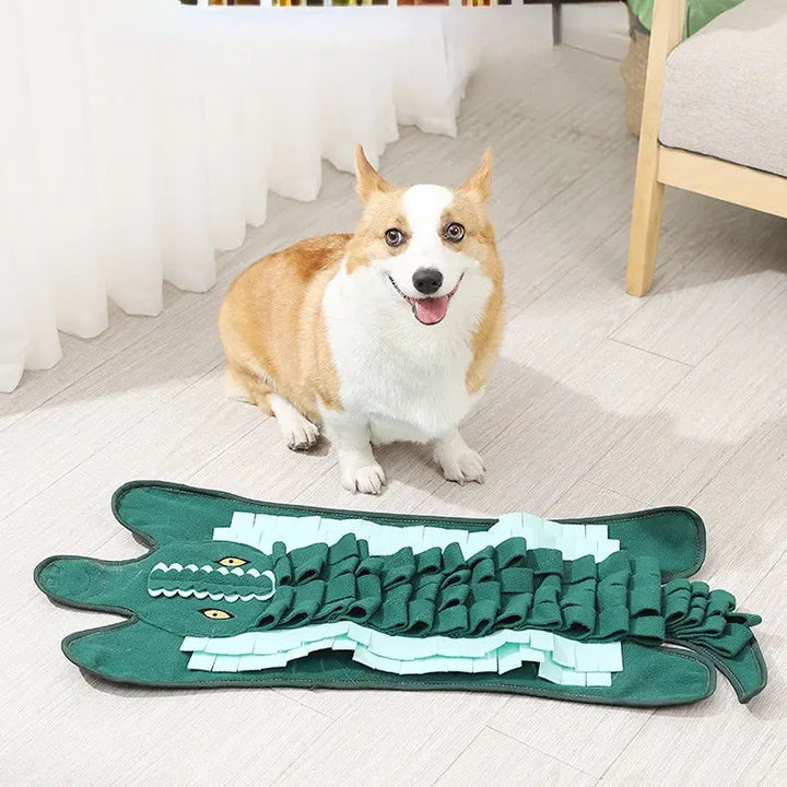 Cheerhunting Snuffy Crocodile Dog Interactive Toy | Kanu Pet