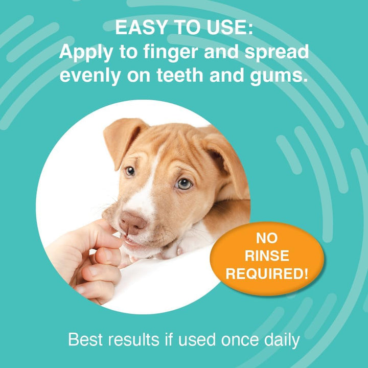 Nootie Oral Solutions Antimicrobial Dental Gel for Dogs | Kanu Pet